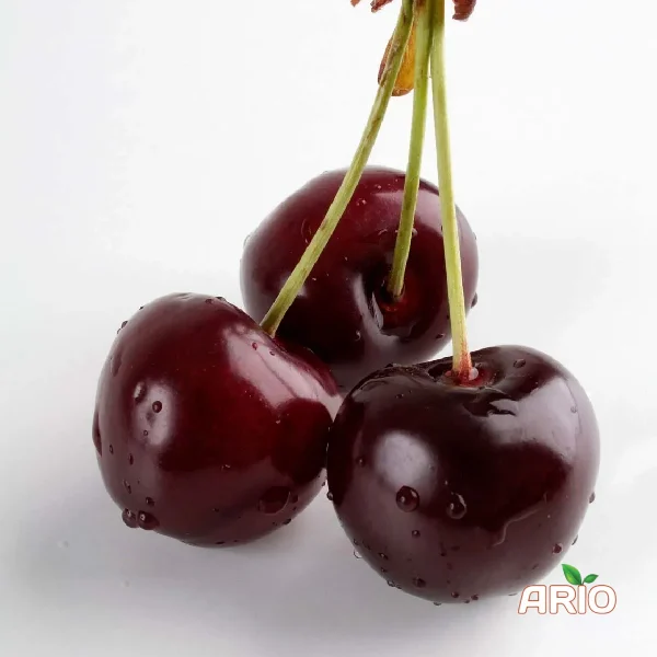 Fresh Cherries
