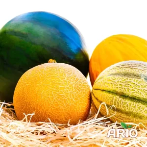 Melons and Watermelons for export