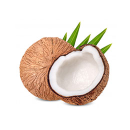 iran coconut import