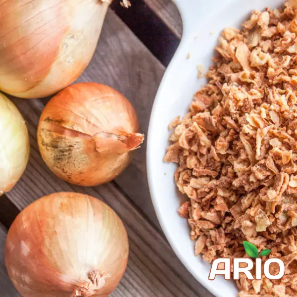 dried and fresh onion