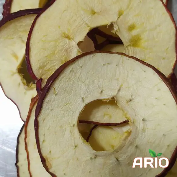 dried in fresh apple