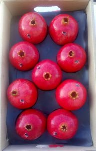 iran Pomegranate export