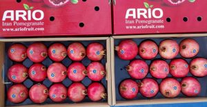 iran Pomegranate export