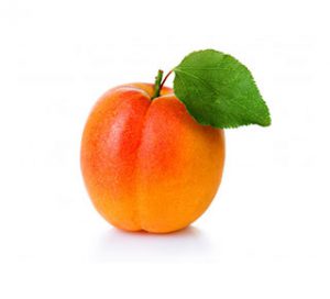 iran apricot