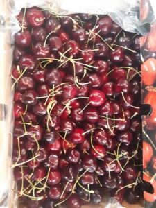 iran cherry export