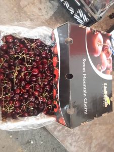 iran cherry export