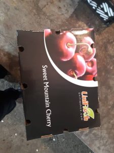 iran cherry export