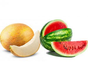 iran melon