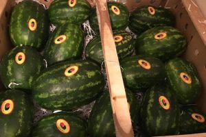 iran melon export