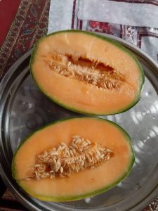 iran melon export