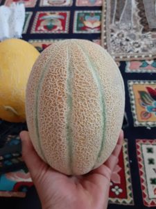 iran melon export