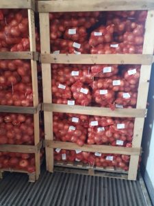 iran onion export