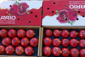 iran pomegranate export