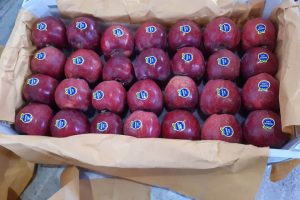 iran red apple export