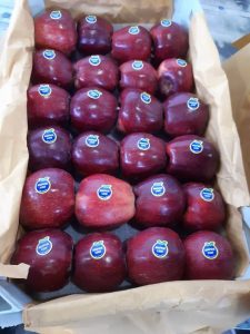 iran red delicious apple export