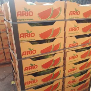 iran watermelon export