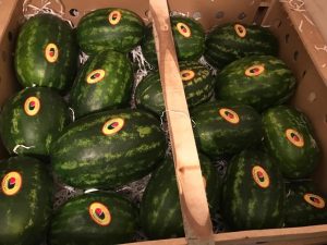iran watermelon export