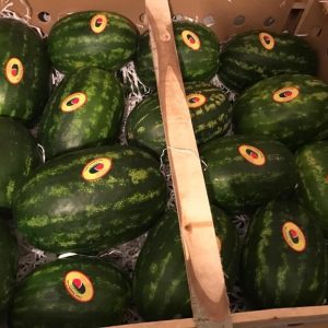 iran watermelon export