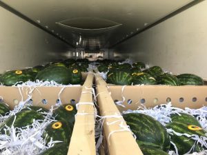 iran watermelon export