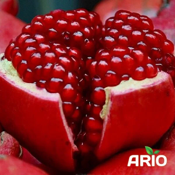 iranian Pomegranate