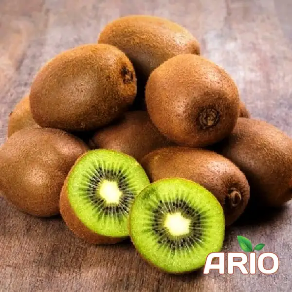 iranian kiwi for export