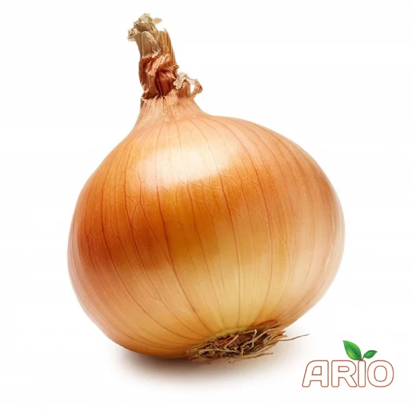 onion