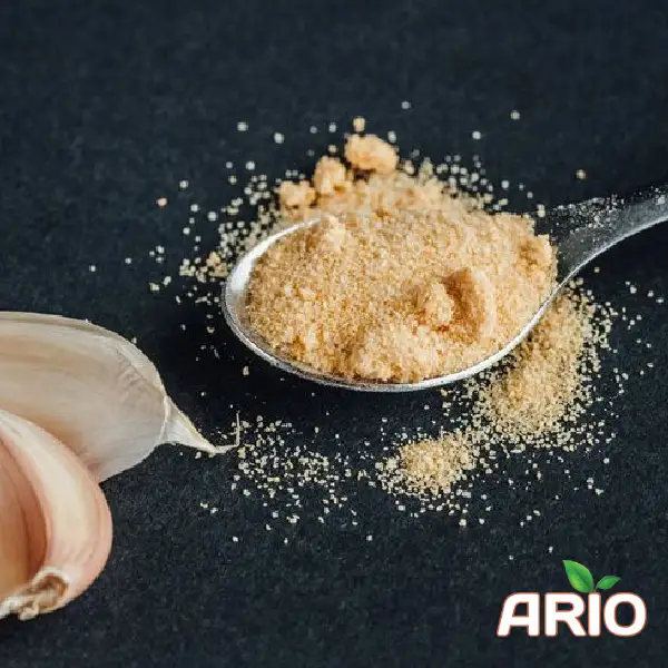 Dried Garlic Powder Exporter