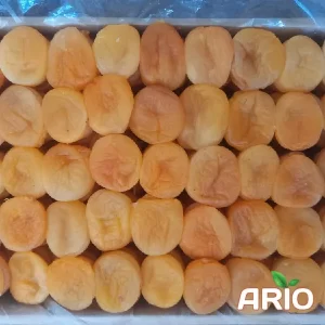 Dried Apricot of Iran