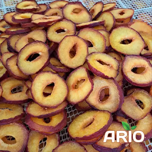 Dried Plum of iran