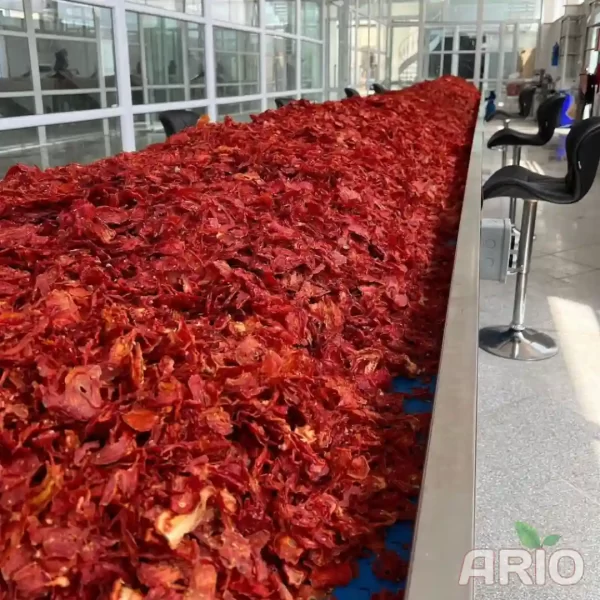 Dried Tomato Powder