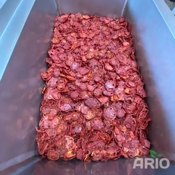 Dried tomatoes at the Ario factory