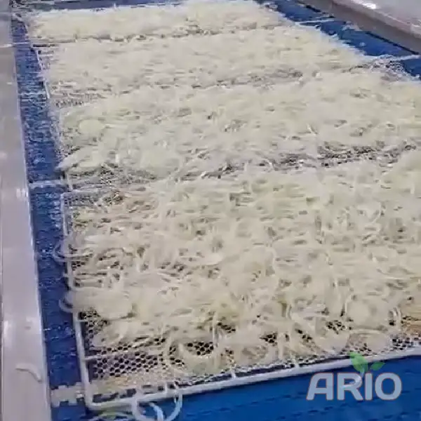 Dried onions in the factory