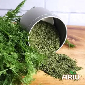Dried Dill