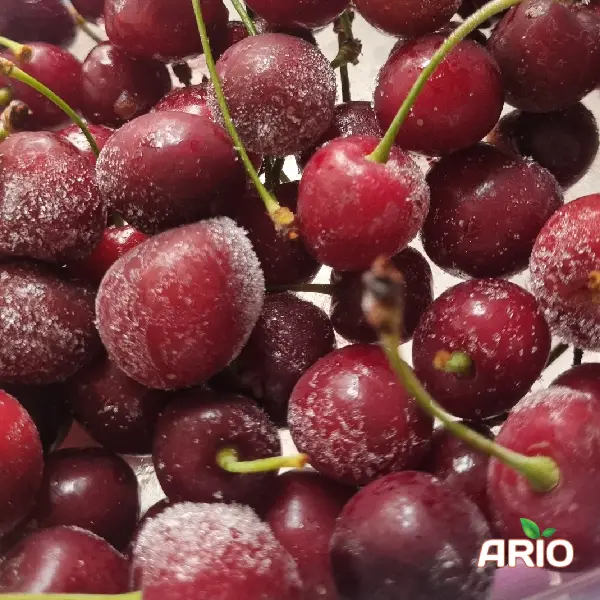 IQF cherries