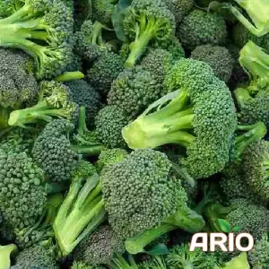 IQF Broccoli