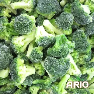 IQF Broccoli export