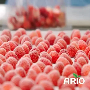 IQF strawberry