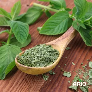 Dried Mint