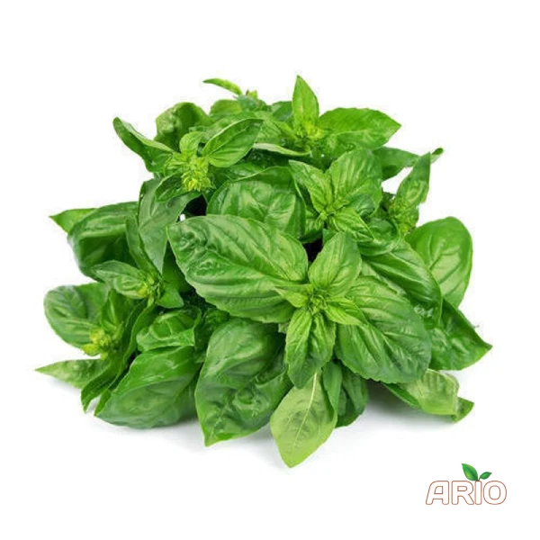 fresh basil