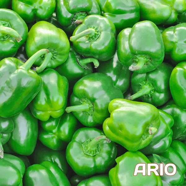 green capsicum