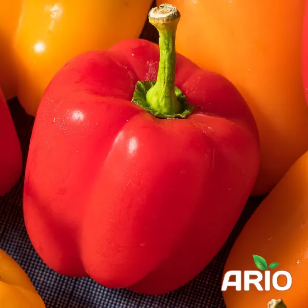 red capsicum