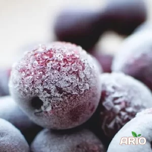 Quick Frozen (IQF) cherries
