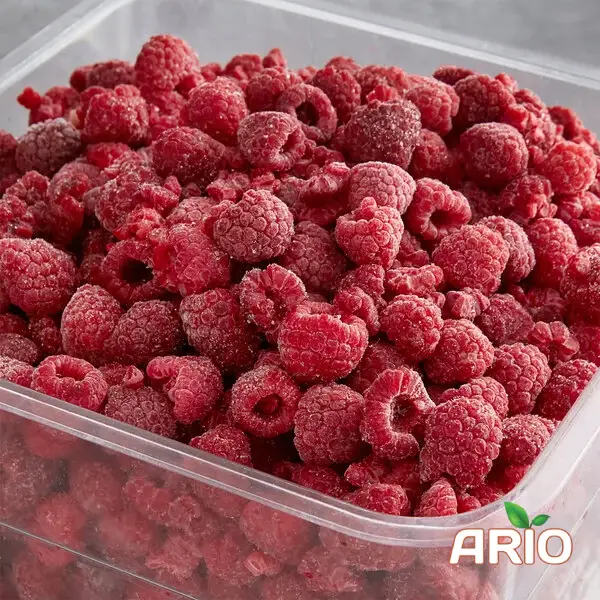 IQF Raspberry for export