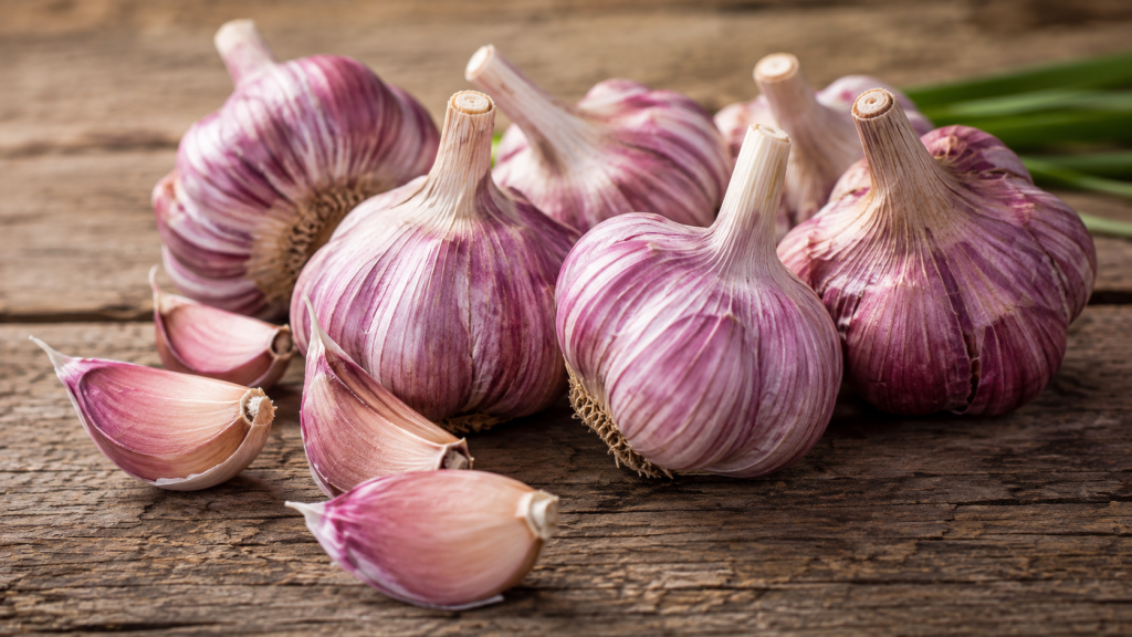 Red Garlic