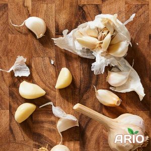 Garlic