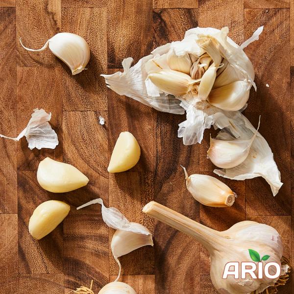 Garlic