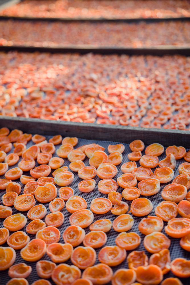 Where to Buy Dried Apricots in Bulk (USA & Online)