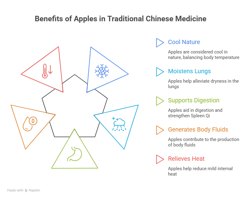 What are the benefits of apple in Traditional Chinese Medicine