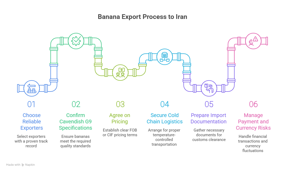 How does banana export to Iran from India work for bulk importers