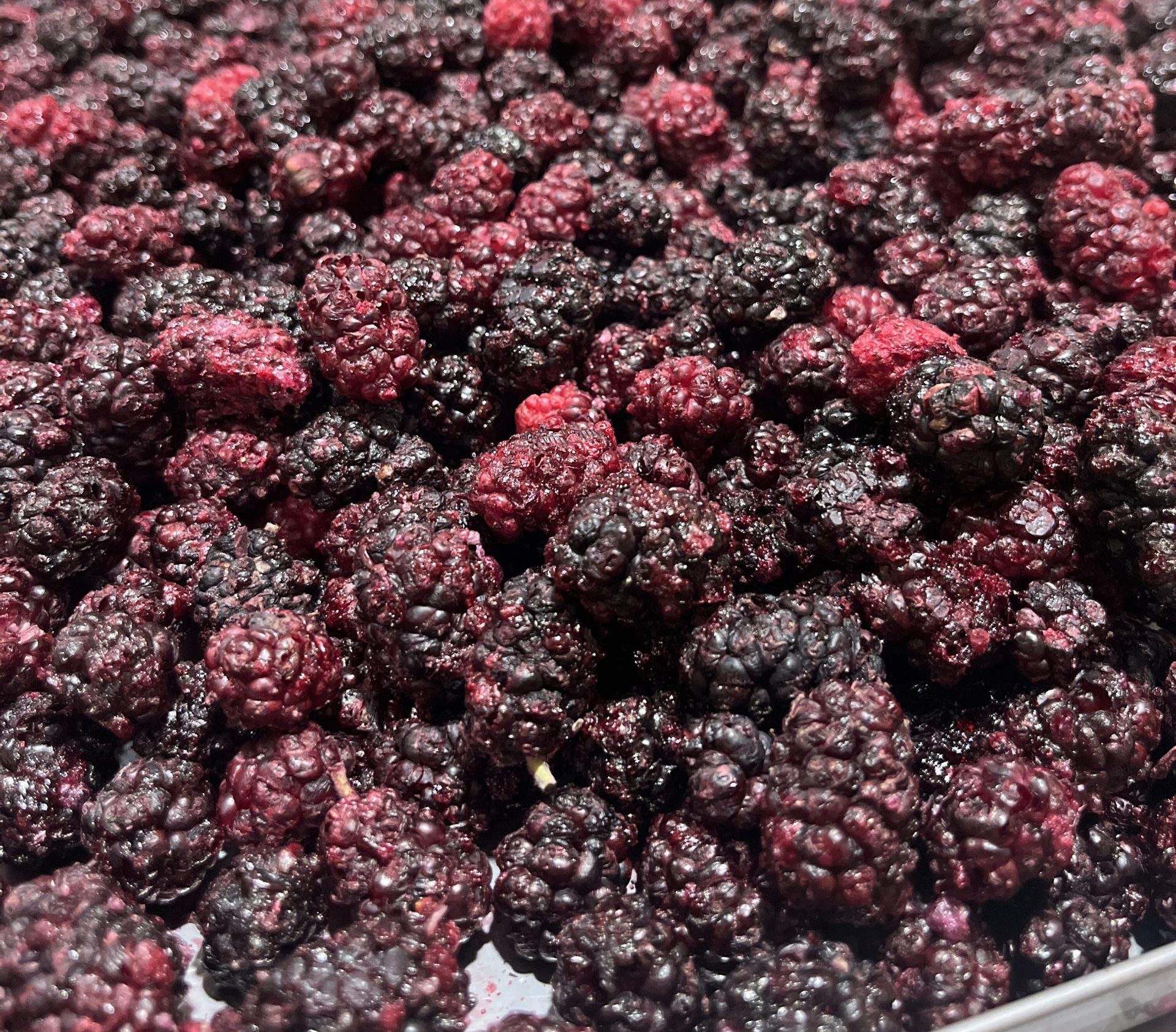 Frozen Dried Blackberry